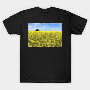 Cotswolds Rapeseed Field T-Shirt